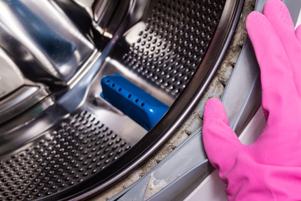  Close-up of mold and detergent residue on the rubber gasket of a front-loading washing machine